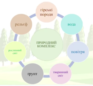 0200vrd1-0419-510x471.png