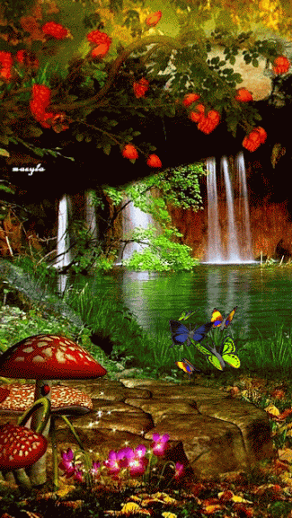 0200vrqz-5e21-325x577.gif