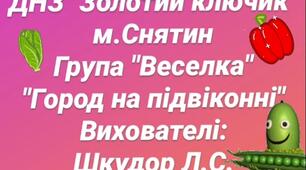 Природознавство " Город на підвіконні"