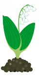 0200vvyh-63e9-84x154.png