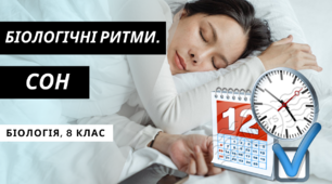 Презентація на тему "Біологічні ритми. Сон"