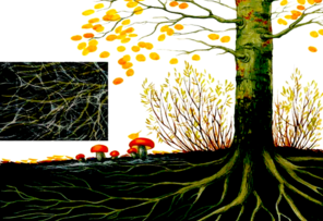 0200vxcm-a636-296x203.png