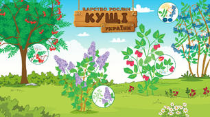 Кущі України