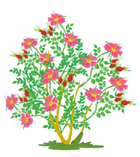 0200w1qm-8304-200x225.png
