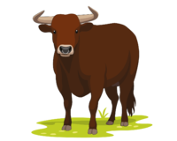 0200w20e-00d0-200x160.png