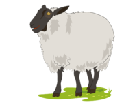 0200w20p-f977-200x160.png