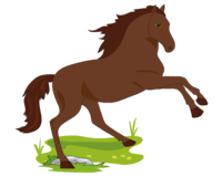 0200w20z-47d6-200x160.png