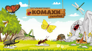Комахи України