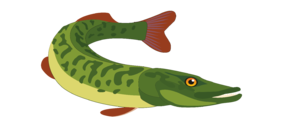 0200w2bv-dbdc-300x120.png