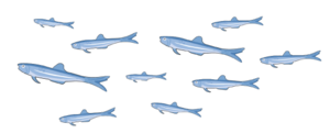 0200w2cg-3500-300x121.png