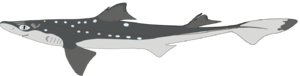 0200w2ct-5d26-300x76.png
