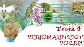 Контроль знань з теми "Різноманітність рослин"