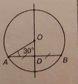 0200w3zp-9f7d-271x292.jpg