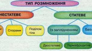 Репродукція організмів