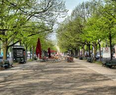 0200w5cs-f7b5-234x193.jpg