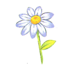 0200w5ej-a0fb-146x144.png