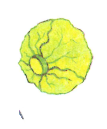 0200w5gg-2646-107x129.png