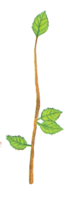 0200w5h8-1cfa-71x210.png