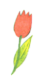 0200w5hb-0d81-92x170.png