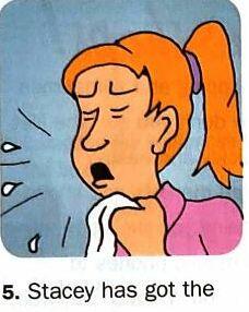 0200waik-ce79-228x286.jpg