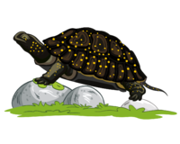 0200wapp-d284-200x160.png