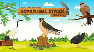 Перелітні птахи України