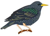 0200wbee-07fb-200x144.png
