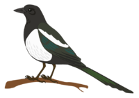 0200wbek-77de-200x141.png