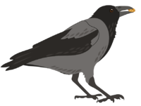 0200wbep-2762-200x151.png