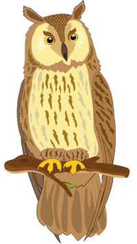 0200wber-9e75-200x355.png