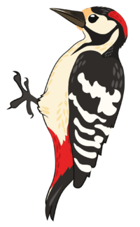 0200wbet-4c9a-200x325.png