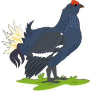 0200wbev-8435-200x185.png