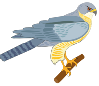 0200wbf0-790d-200x174.png