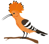 0200wbgk-bab3-200x179.png
