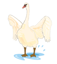 0200wbih-2216-200x225.png
