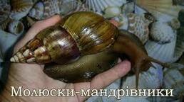 0200wbk7-3827-258x144.jpg