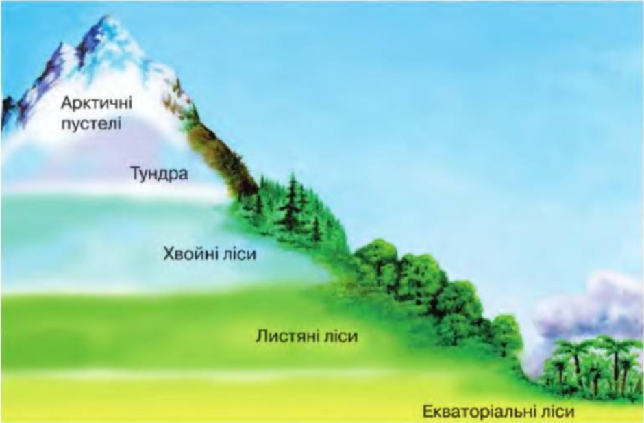 Вертикальная поясность географической оболочки. Высотная поясность Алтая.