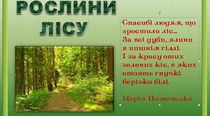 Рослини лісу  України