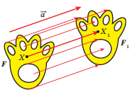 0200wdjh-1c50-183x137.png