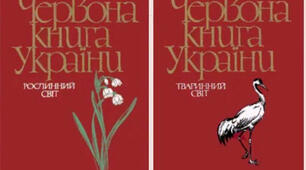 Відео-презентація заняття: "Сторінками Червоної книги"