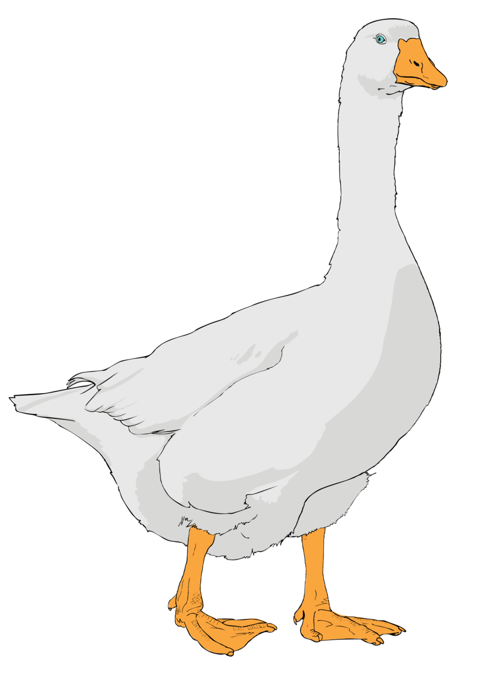 0200wes3-bbf9-940x1351.png