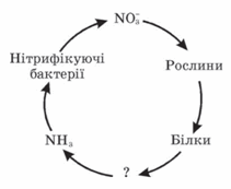 0200wjm7-87ec-211x173.png