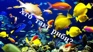 Хто такі риби?