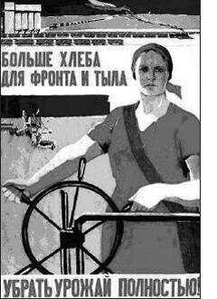 0200wmce-24bb-240x330.jpg