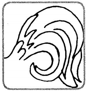 0200wnd2-230a-300x319.jpg