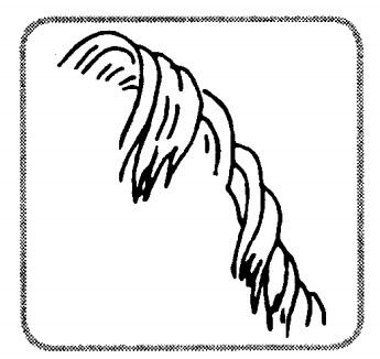 0200wnd7-f300-345x326.jpg