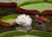 0200wnqv-6c0e-176x126.jpg