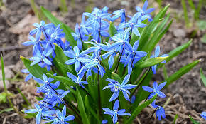 0200wr6z-0b75-290x174.jpg