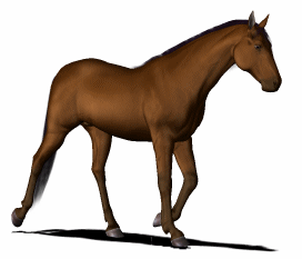 0200wrbb-52a7-272x233.gif