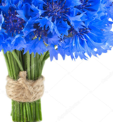 0200wtyi-4c43-159x172.png